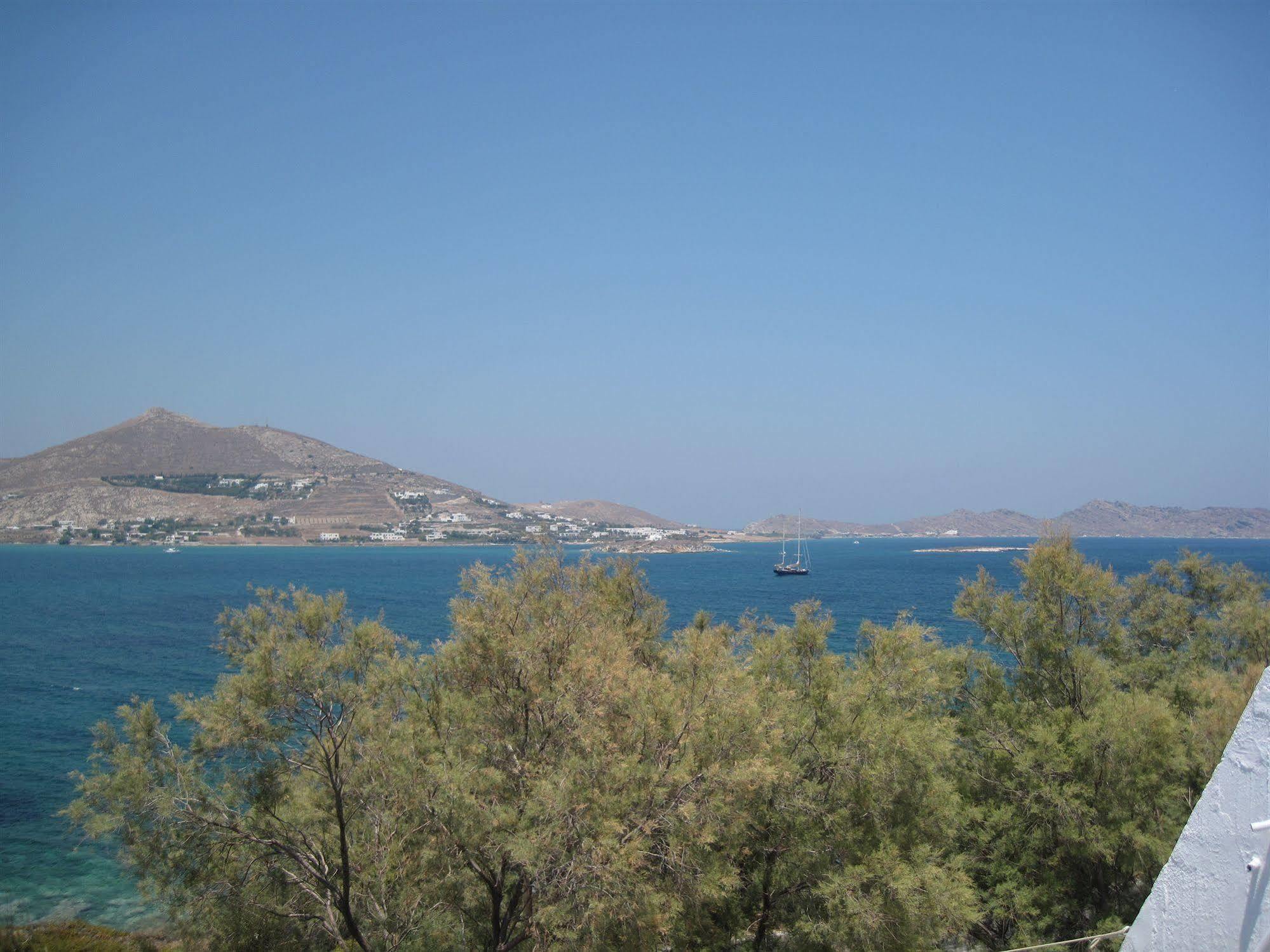 Hippocampus Hotel Zambujeira do Mar Dış mekan fotoğraf